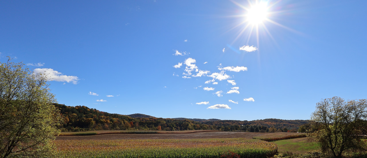 scenic vermont cornfield